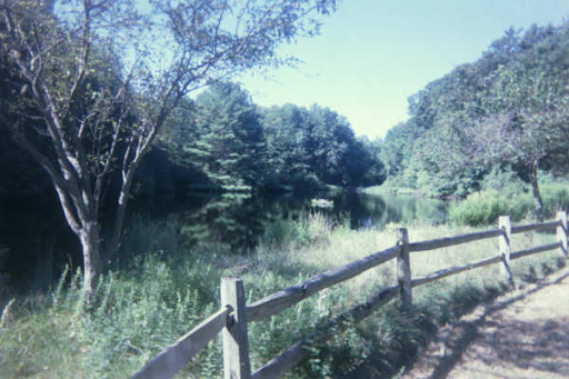 roosevelt forest fence