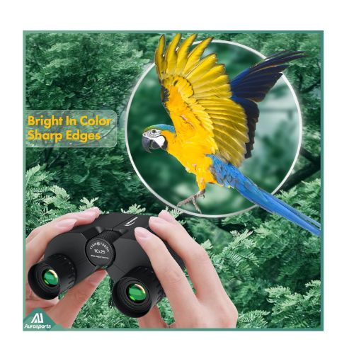 birding kit